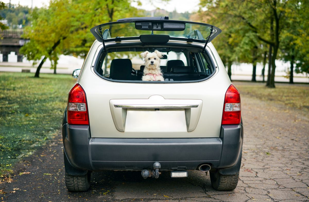 Jaki SUV do 30 tys. zł?